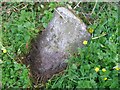 Old Milestone by the B7037, Sornhill, Galston Parish