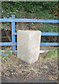 Old Milestone by the A377, west of Lapford