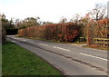 West along Haresfield Lane, Haresfield