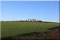 Milk Tanker on the way to Meikle Heateth