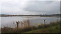 SP2099 : Wetlands at RSPB Middleton Lakes nature reserve by Phil Champion