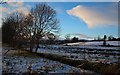 Fields at the edge of Thornhill