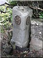 Old Milestone by the former A75, north east of Ringford