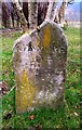 Old Milestone by the B898, Inchmagrannachan Cottages