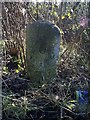 Old Milestone by the B1393, High Road, Bell Common