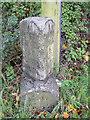 Old Milestone by the former A379, Exminster