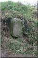 SX4375 : Old Guide Stone by Woodovis Farm road junction, Sydenham Damerel Parish by Alan Rosevear