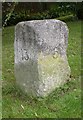 Old Milestone by the A35, Spicers Hill, Rushington