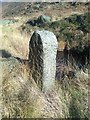 SD9719 : Old Boundary Marker on White Holme Moss, Todmorden Parish by Milestone Society