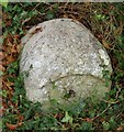 Old Milestone by the A119, Hertford Road, Chadwell, Ware Parish