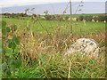 Old Milestone by the A719, north of Aucheninch Bridge, Maybole Parish