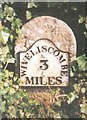 Old Milestone by Fitzhead Road, Fitzhead Parish