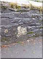 Old Bridge Marker by Dolvin Road, Tavistock Parish