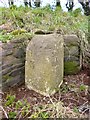 Old Milestone by the A381, Malborough Parish