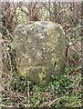 Old Milestone east of South Wraxhall