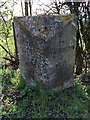 Old Milestone by the A574, Warrington Road, north of Risley