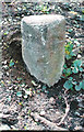 Old Milestone by the former A548, Holywell Street, Bagillt