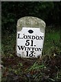 Old Milestone by the A31, Winchester Road, Four Marks