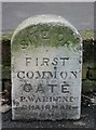 Old Commemorative Marker by the A33, The Avenue, Southampton