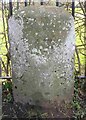 Old Milestone by the A307, Portsmouth Road, Cobham