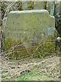 Old Milestone by Overton Road, Biddulph Park