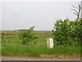 Old Milestone by the A747, Craiglemine, Glasserton Parish