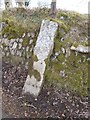 Old Milestone south east of Caseytown Cross and Tavistock