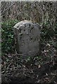 Old Milestone by the A377, Burrington Parish