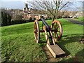 Cannon in Fort Royal Park