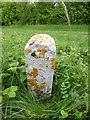 Old Boundary Marker on Toyd Down, Martin Parish