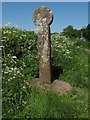 SO7585 : Old Wayside Cross south of Hampton Loade, Alveley Parish by Milestone Society