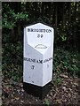 Old Milepost by the B2130, Brighton Road, Busbridge Parish