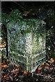 Old Milestone by the A339, Warren Farm, Lasham Parish