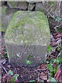 Old Milestone by the A48, near Stroat House, Woolaston Parish