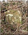 Old Milestone near Bagginswood