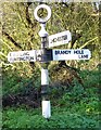 Direction Sign - Signpost by the B2178, Old Broyle Road, Lavant Parish