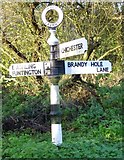 SU8506 : Direction Sign - Signpost by the B2178, Old Broyle Road, Lavant Parish by A Savill