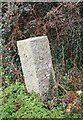 Old Boundary Marker by the A382, Slade Cross, Bovey Tracey Parish