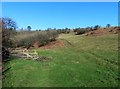 Hillside track below Wellington Farm