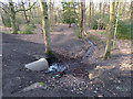 SE3028 : Culvert under a path in Middleton Park (1) by Stephen Craven