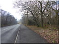 Oxhey Drive through Oxley Woods