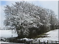 A wintry Chiltern Way on the other side of Amersham Road