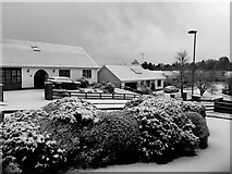 H4672 : Snow, Knockgreenan, Omagh by Kenneth  Allen