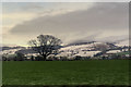 Field near Llanfair Dyffryn