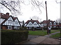 Houses in Village Way