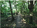 Footpath near Coombe Dingle