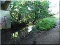 Path under Dingle Road (A4162)