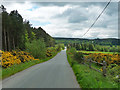 Country road near Pennerley (1)