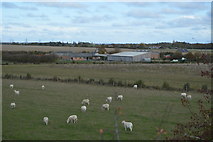 TL5864 : Sheep and Ditch Farm by N Chadwick