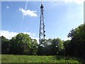 Telecoms mast on Kingsweston Down